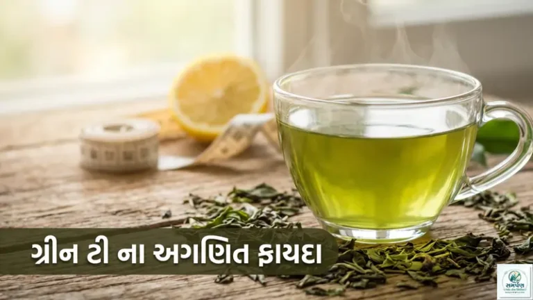 ગ્રીન ટી (Green Tea) ના ફાયદા: શું તેનાથી ચરબી ઓગળે છે?