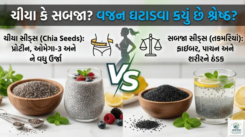 ચીયા સીડ્સ (Chia Seeds) અને સબજા: વજન ઘટાડવા બંનેમાંથી કયું બેસ્ટ?