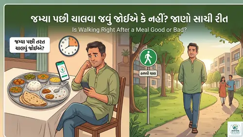 જમ્યા પછી તરત ચાલવા જવું જોઈએ કે નહીં?