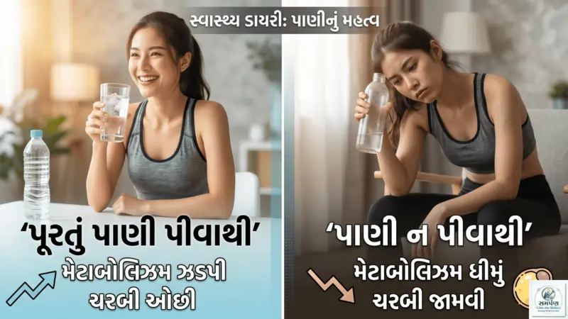 પૂરતું પાણી ન પીવાથી ચરબી કેમ જામી જાય છે?