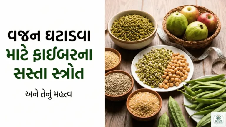 વજન ઘટાડવા માટે ફાઇબર (Fiber) નું મહત્વ અને તેના સસ્તા સ્ત્રોત.
