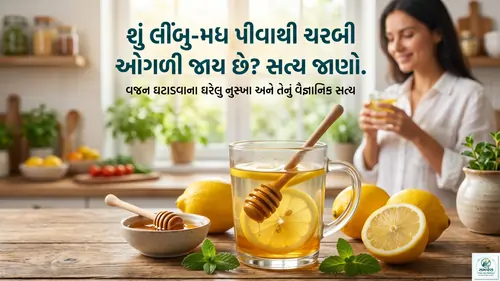 શું લીંબુ-મધ પીવાથી ચરબી ઓગળી જાય છે? સત્ય જાણો.