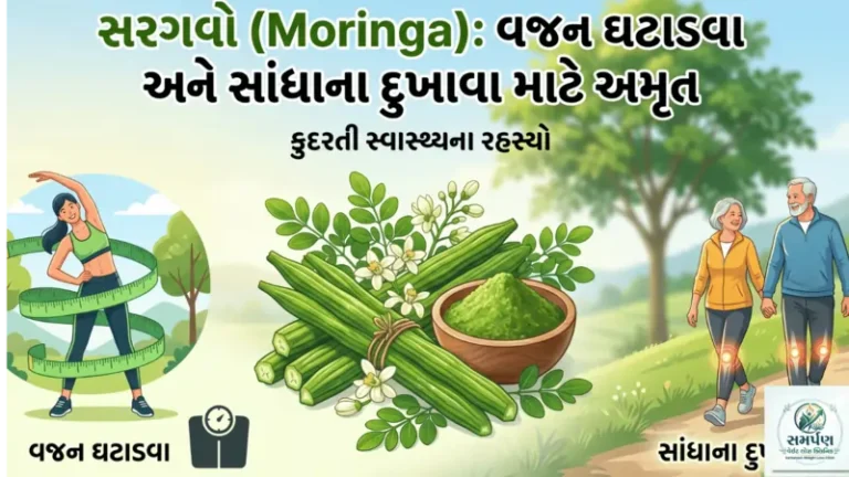 સરગવો (Moringa): વજન ઘટાડવા અને સાંધાના દુખાવા માટેનું અમૃત.