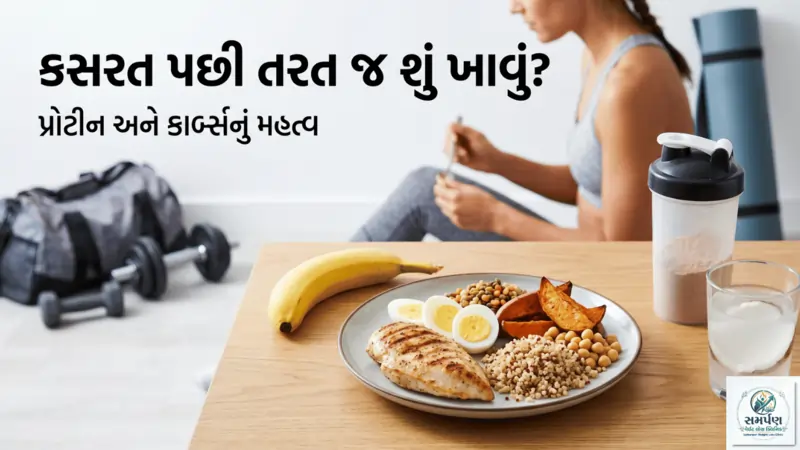 કસરત પછી તરત જ શું ખાવું જોઈએ? (પ્રોટીન અને કાર્બ્સનું મહત્વ).