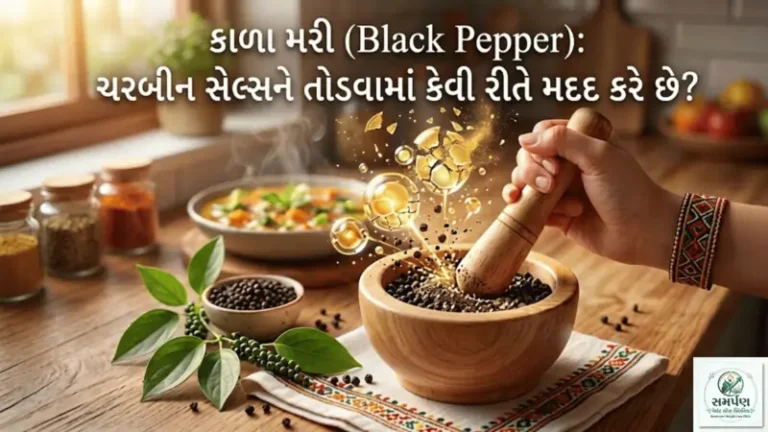 કાળા મરી (Black Pepper): ચરબીના સેલ્સને તોડવામાં કેવી રીતે મદદ કરે છે?