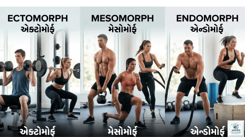 તમારા શરીરનો પ્રકાર (Body Type: Ectomorph, Mesomorph, Endomorph) જાણો અને તે મુજબ કસરત કરો.
