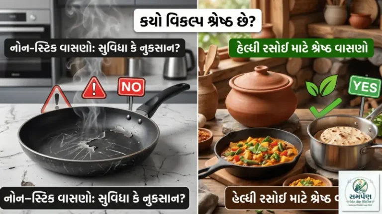 નોન-સ્ટિક વાસણોના નુકસાન અને રસોઈ માટે હેલ્ધી વાસણો.
