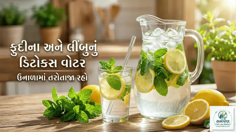 ફુદીનો (Mint) અને લીંબુ: ઉનાળામાં ડિટોક્સ વોટર કેવી રીતે બનાવવું?