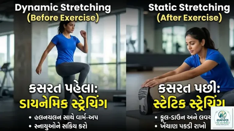 . સ્ટ્રેચિંગ ક્યારે કરવું? કસરત પહેલા (Dynamic) કે કસરત પછી (Static)?