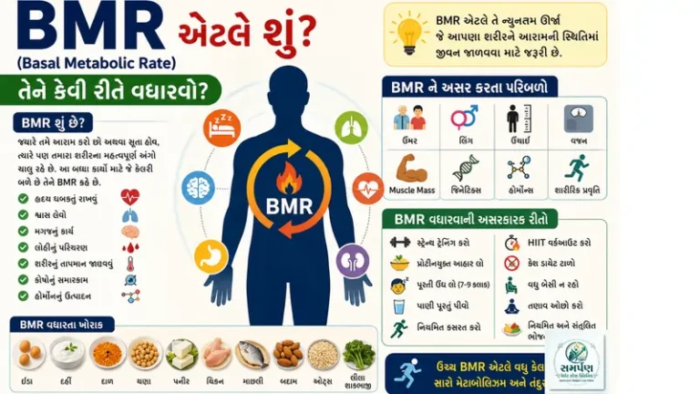 BMR (Basal Metabolic Rate) એટલે શું? તેને કેવી રીતે વધારવો?