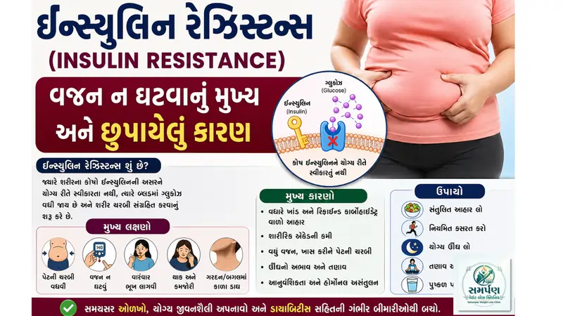 ઇન્સ્યુલિન રેઝિસ્ટન્સ (Insulin Resistance): વજન ન ઘટવાનું મુખ્ય અને છુપાયેલું કારણ