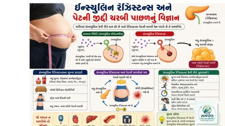 ઇન્સ્યુલિન રેઝિસ્ટન્સ અને પેટની જીદ્દી ચરબી પાછળનું વિજ્ઞાન