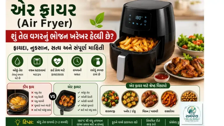 એર ફ્રાયર (Air Fryer): શું તેલ વગરનું ભોજન ખરેખર હેલ્ધી છે?