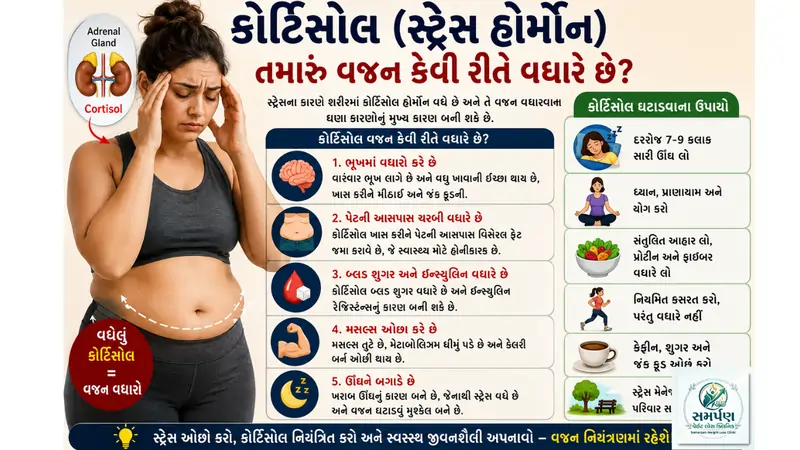કોર્ટિસોલ (સ્ટ્રેસ હોર્મોન) તમારું વજન કેવી રીતે વધારે છે?