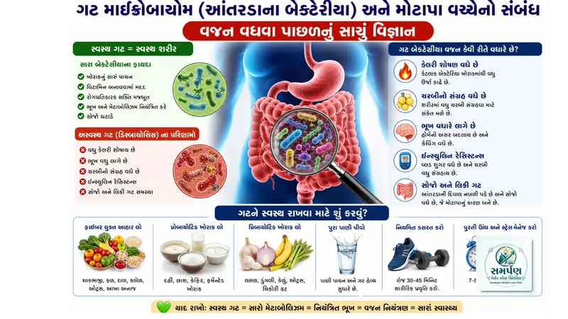 ગટ માઇક્રોબાયોમ (આંતરડાના બેક્ટેરિયા) અને મોટાપા વચ્ચેનો સંબંધ.