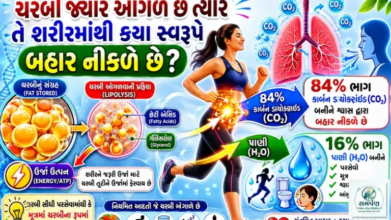 ચરબી જ્યારે ઓગળે છે ત્યારે તે શરીરમાંથી કયા સ્વરૂપે બહાર નીકળે છે?