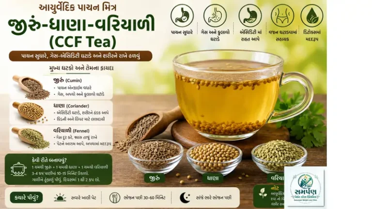 . જીરું-ધાણા-વરિયાળી (CCF Tea) નું આયુર્વેદિક પાણી અને પાચન.