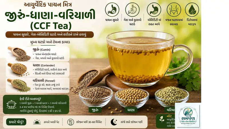 . જીરું-ધાણા-વરિયાળી (CCF Tea) નું આયુર્વેદિક પાણી અને પાચન.