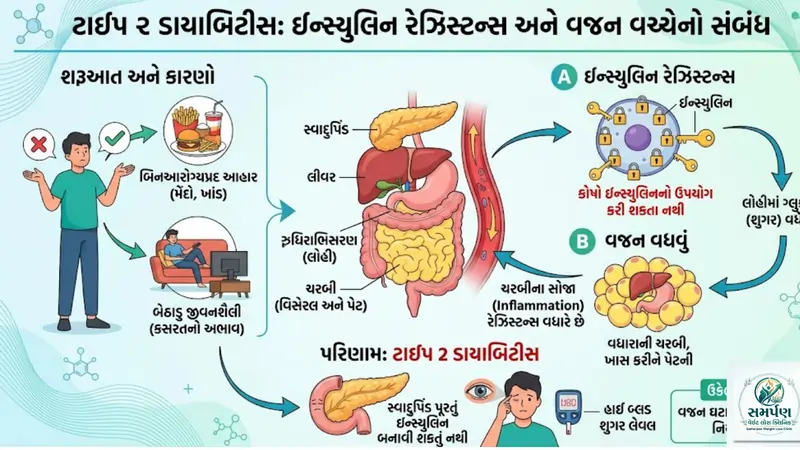 . ટાઇપ ૨ ડાયાબિટીસ (Type 2 Diabetes) માં ઇન્સ્યુલિન રેઝિસ્ટન્સ અને વજન