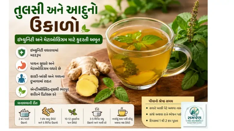 તુલસી અને આદુનો ઉકાળો: ઇમ્યુનિટી અને મેટાબોલિઝમ