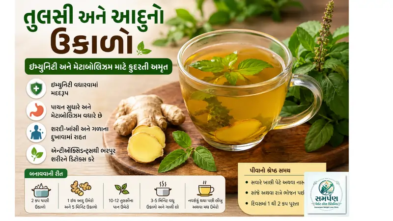 તુલસી અને આદુનો ઉકાળો: ઇમ્યુનિટી અને મેટાબોલિઝમ