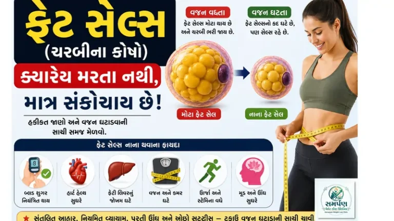 ફેટ સેલ્સ (ચરબીના કોષો) ક્યારેય મરતા નથી, માત્ર સંકોચાય છે - હકીકત જાણો.