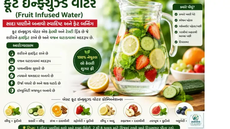ફ્રૂટ ઇન્ફ્યુઝ્ડ વોટર (Fruit Infused Water): સાદા પાણીને સ્વાદિષ્ટ અને ફેટ બર્નિંગ કેવી રીતે બનાવવું?