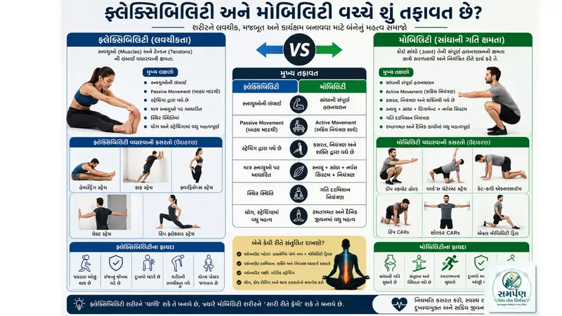 ફ્લેક્સિબિલિટી (લવચીકતા) અને મોબિલિટી વચ્ચે શું તફાવત છે?