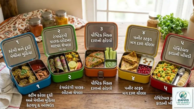 બાળકોના લંચબોક્સ માટે ૫ હેલ્ધી અને ટેસ્ટી ગુજરાતી ઓપ્શન