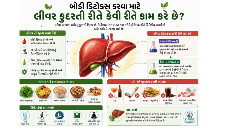 બોડી ડિટોક્સ કરવા માટે લીવર કુદરતી રીતે કેવી રીતે કામ કરે છે?