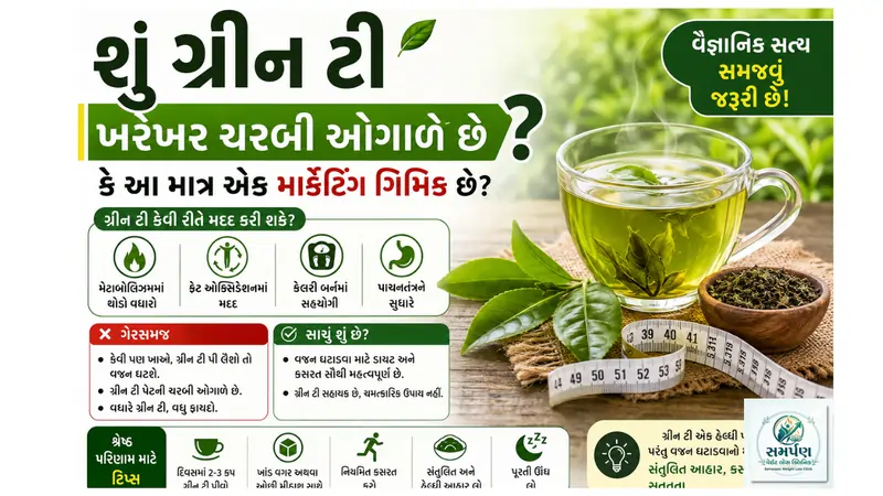 શું ગ્રીન ટી ખરેખર ચરબી ઓગાળે છે કે આ માત્ર એક માર્કેટિંગ ગિમિક છે?