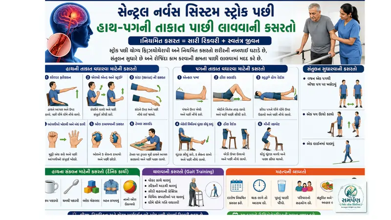 સેન્ટ્રલ નર્વસ સિસ્ટમ સ્ટ્રોક પછી હાથ-પગની તાકાત પાછી લાવવાની કસરતો.