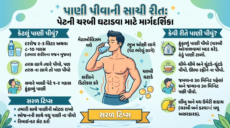 દિવસ દરમિયાન કેટલું અને કેવી રીતે પાણી પીવું પેટની ચરબી ઘટાડવાની સરળ રીત