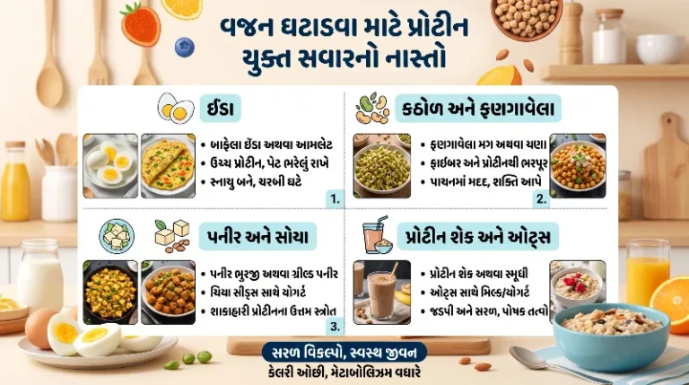 વજન ઘટાડવા માટે સવારના નાસ્તામાં શું ખાવું પ્રોટીન યુક્ત નાસ્તાના સરળ વિકલ્પો