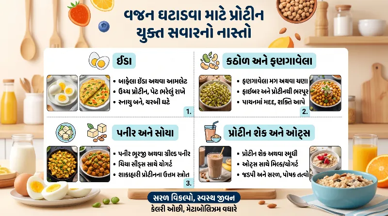 વજન ઘટાડવા માટે સવારના નાસ્તામાં શું ખાવું પ્રોટીન યુક્ત નાસ્તાના સરળ વિકલ્પો